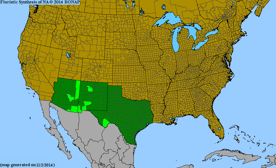 County distribution map of Eriogonum jamesii var. undulatum - James' Wild Buckwheat